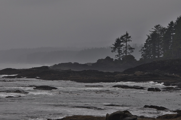 rocky beach